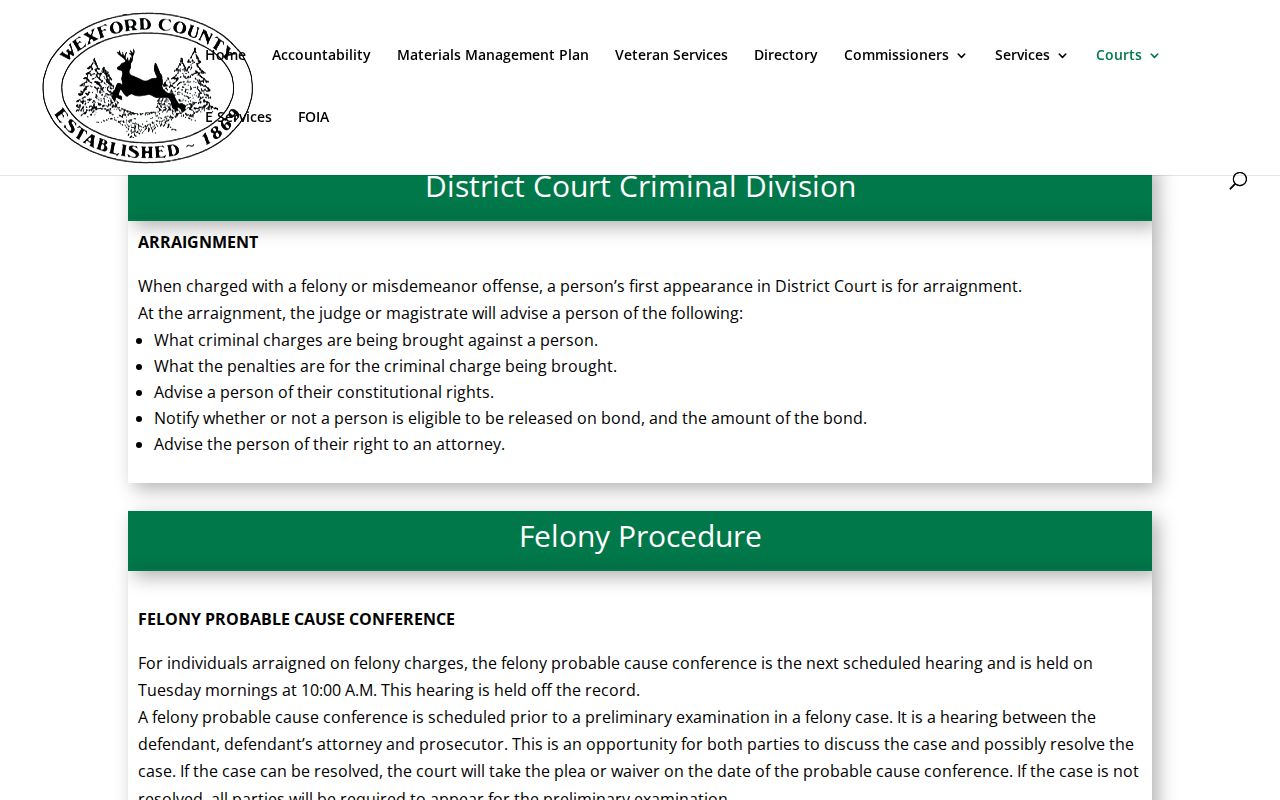 Wexford County criminal court case process at the 84th District Court